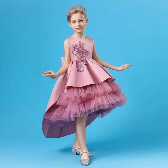 Luxury Birthday Wedding Princess Embroidered Sparkly Gown Dress - Picture 9 of 11